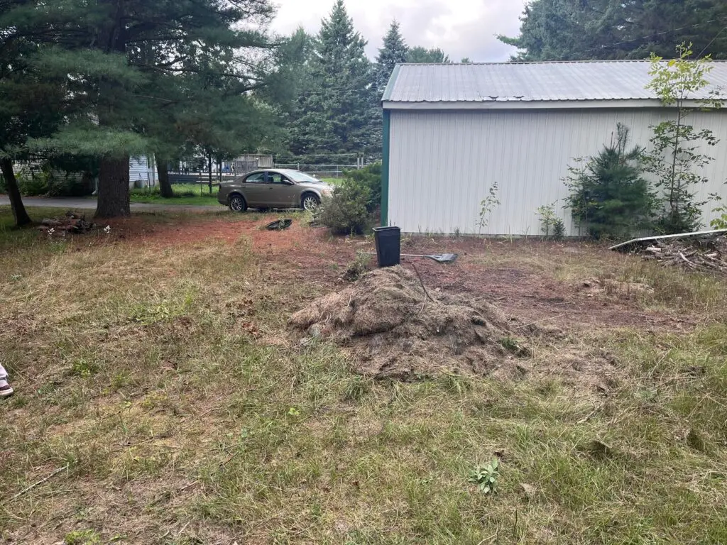 Brush Pile Removal - After Service