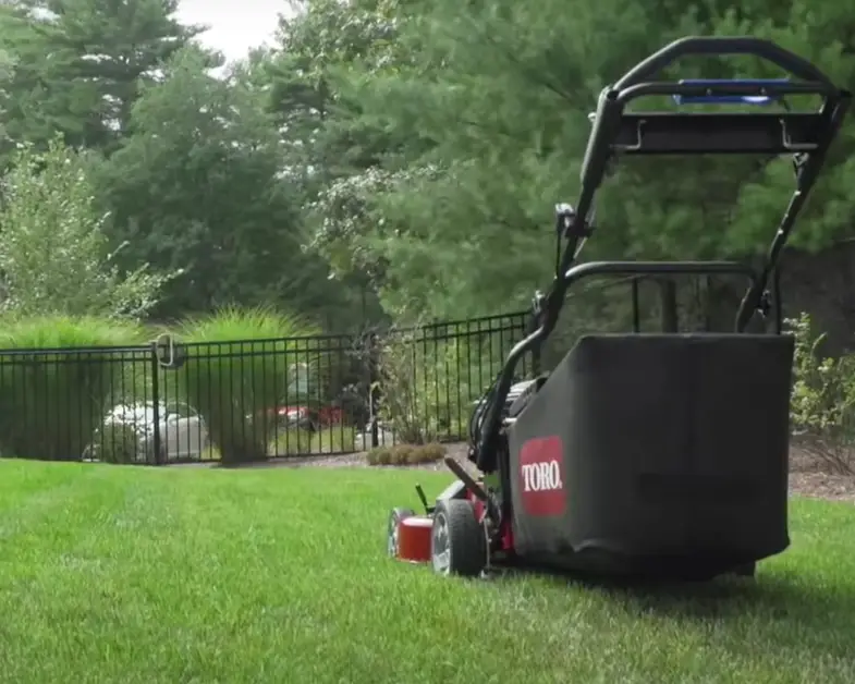Lawn Care Services in Alpena