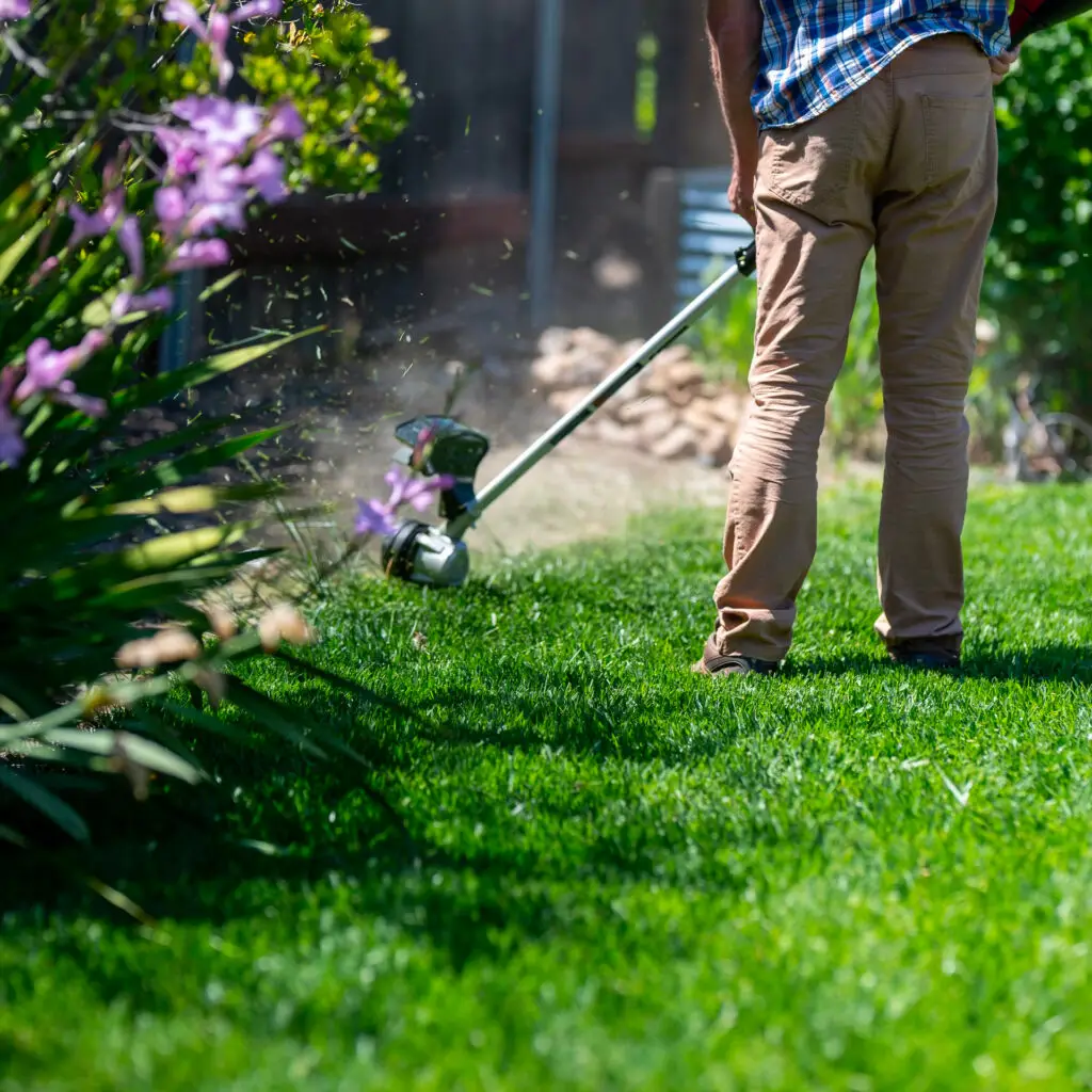 Northern Michigan Lawn Care Services